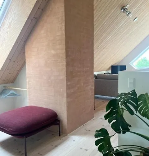 Nordic Architecture Near The In *